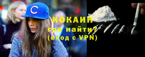 гидра Липки