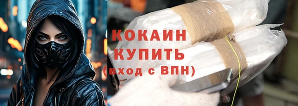 гидра Липки