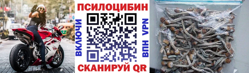 сколько стоит Сысерть Псилоцибиновые грибы ЛСД